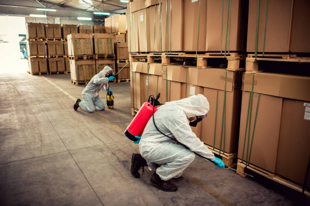 Best Flea Control Services  in San Leandro, CA