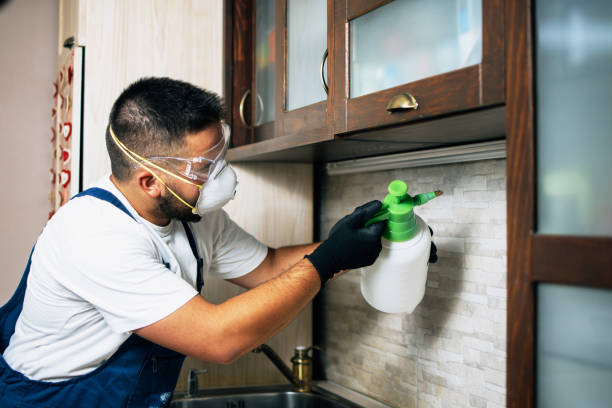 Best Spider Control Near Me  in San Leandro, CA