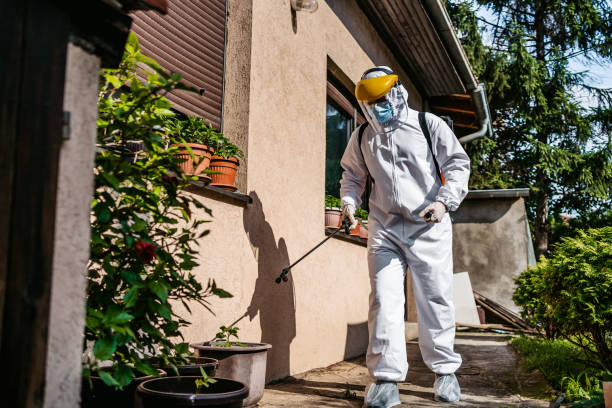 Best Wildlife Control Services  in San Leandro, CA