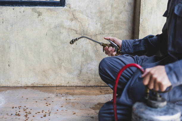 Best Local Pest Control Services  in San Leandro, CA