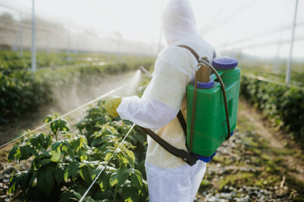 Best Affordable Pest Control Services  in San Leandro, CA
